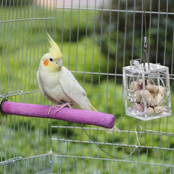 Birds Acrylic Food Fruits Accessory Foraging Feeder Cage Parrot Toys