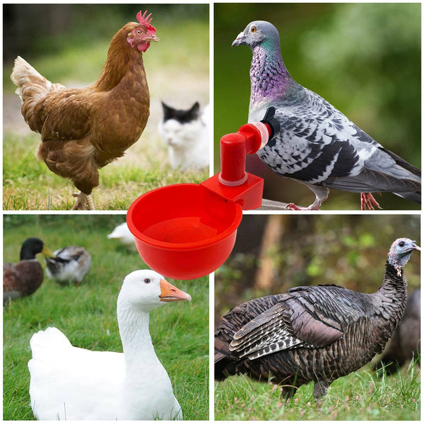 8x Automatic Chicken Water Cup Waterer Poultry Drinking Bowl Feeder Drinker Tool