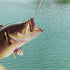 products/s-l1600_88c88244-a8d6-464c-a51a-ae9a3cc7e694.jpg