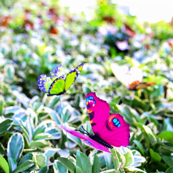 50-150X Ornament Pot Decor Outdoor Yard Lawn Party Home DIY Fairy Garden Decorat