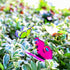 products/s-l1600_8d485780-4550-4336-8292-70249e5b91f2.jpg