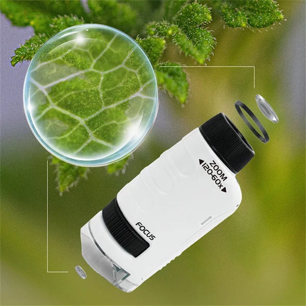 Kids Pocket Microscope 60X-120X Handheld Magnification Lens LED Lighted AU