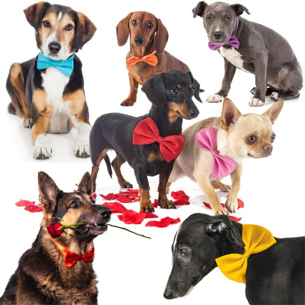 10/50/100PCS Wholesale Pet Dog Puppy Cat Necktie Bow Ties Collar Grooming Out AU