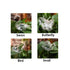 products/s-l1600_98039255-4cf1-4e3b-90fc-0e183bd652a3.jpg