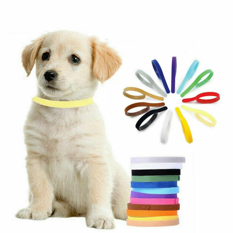 Gifts for Pets