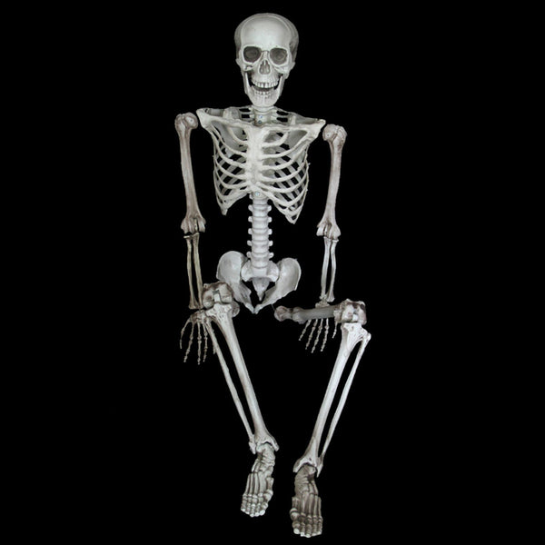 Halloween Human Skeleton Head Body Model Life Size Model House Prop Medical AU - Lets Party