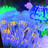 products/s-l1600_9ef676c5-2d6a-4567-8d9e-b5ca840d6ada.jpg