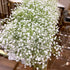 products/s-l1600_a06f0232-5063-4784-8275-f3fad717a3d9.jpg