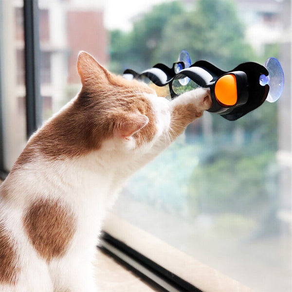 Window Suction Cup Funny Cat Toys Track Bal Cat Pet Toy Interactive Track Ball