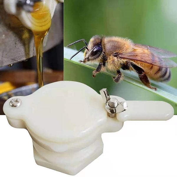 4pcs Beekeeping Extractor Honey Gate Valve Equipment Bottling Strainer Honey Tap