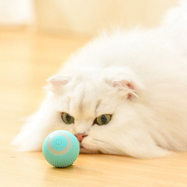 Interactive Smart Cat Toy Automatic Rolling Cat Ball Self-Moving Kitten Toys