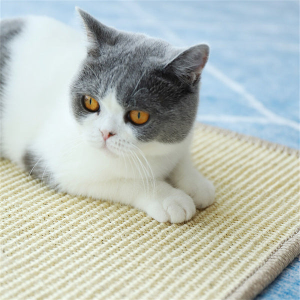 Cat Scratcher Scratching Mat Board Sisal Sofa Scratch Bed Pad Protector 60x90cm