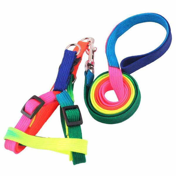 3pcs Nylon Small Mini Pet Adjustable Harness Lead Leash Collar Belt Safety Walk