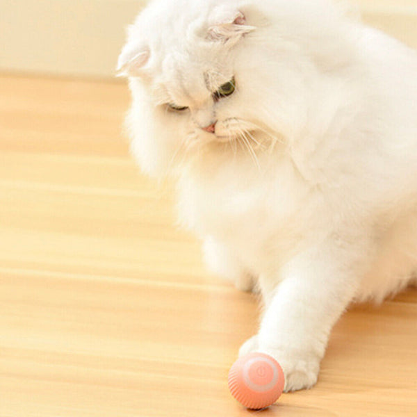 Interactive Smart Cat Toy Automatic Rolling Cat Ball Self-Moving Kitten Toys