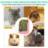 products/s-l1600_ac42ec81-ff3e-4344-81b4-8647be1fb74b.jpg