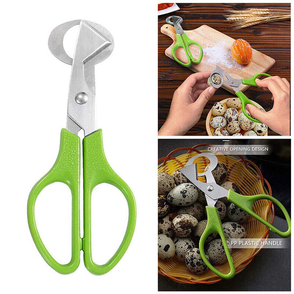 Pigeon Quail Egg Scissors Cracker Opener Cigar Cutter Tool Stainless Steel AU
