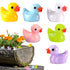 products/s-l1600_afa33763-9f25-4dcc-85c4-ad6c541810c1.jpg
