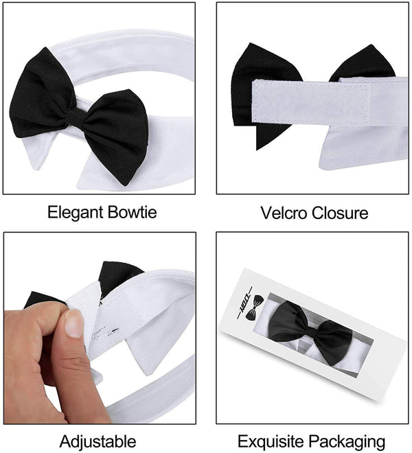 Neck tie Cat Dog Black and White Tuxedo Bow Tie Party Pet Wedding AU