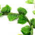 products/s-l1600_b30dde0c-d015-4799-b7a8-41a65e3b7f72.jpg