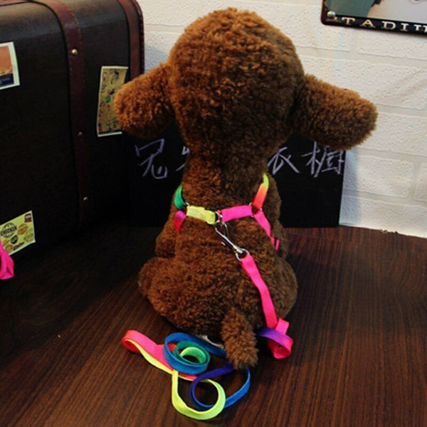 3pcs Nylon Small Mini Pet Adjustable Harness Lead Leash Collar Belt Safety Walk