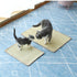 products/s-l1600_b6f652f0-a5b9-4bf0-acd1-bea6ff180fc3.jpg