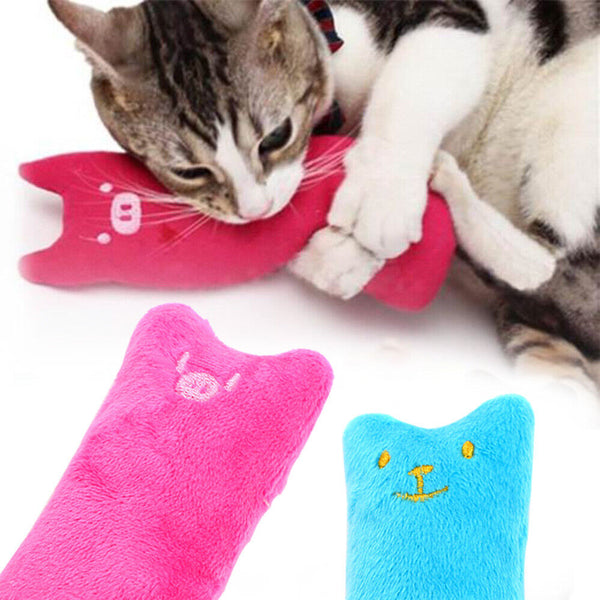 2x Chew Teeth Grinding Toys Crazy Pillow Catnip interactive Gift Cat Scratch Pet