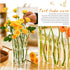 8pcs/Set Hinged Flower Vase Glass Test Tube Vases for Flowers Hydroponic Flower