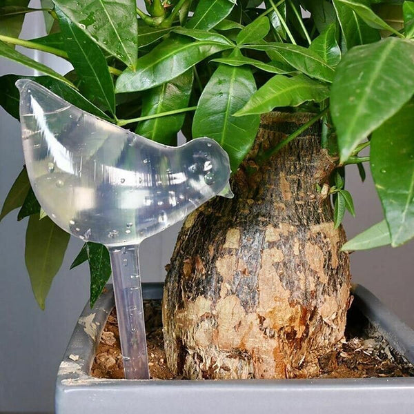 Automatic Self Plant Watering Glass Bulbs Water Feeder Indoor Irrigation Outdoor