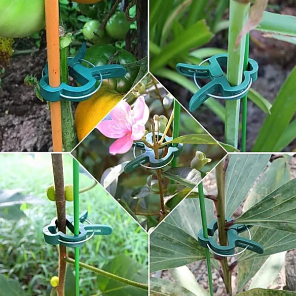 GARDEN PLANT CLIPS Tomato Tie Stem Orchid Support Weatherproof Grow Training AU