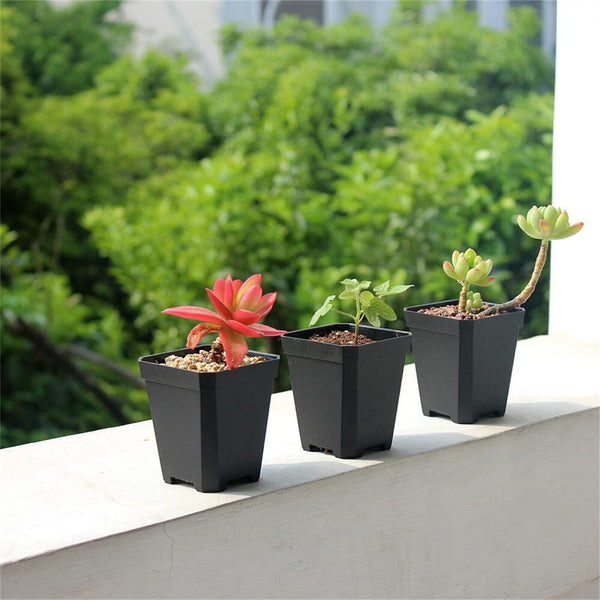 100-500x Plastic Plant Flower Pots Nursery Seedlings Garden Plant Pot Container - Lets Party