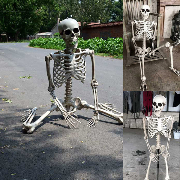 Halloween Human Skeleton Head Body Model Life Size Model House Prop Medical AU - Lets Party