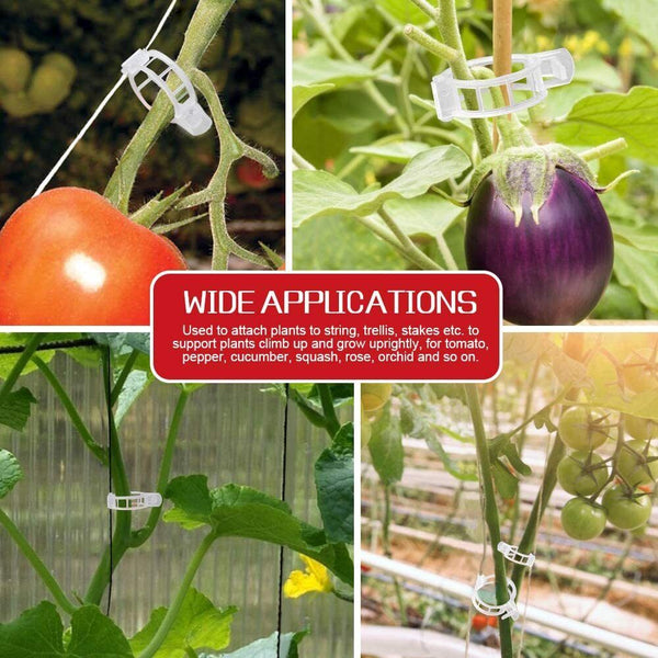 100x Tomato Greenhouse Garden Plant Support Veggie Clips Trellis Twine Clear AU