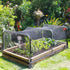 products/s-l1600_c8c37299-53f9-4d81-be81-4cd0178034bc.jpg