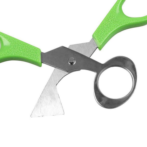 Pigeon Quail Egg Scissors Cracker Opener Cigar Cutter Tool Stainless Steel AU