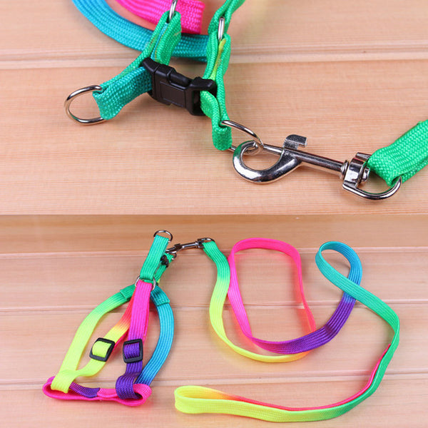 3pcs Nylon Small Mini Pet Adjustable Harness Lead Leash Collar Belt Safety Walk