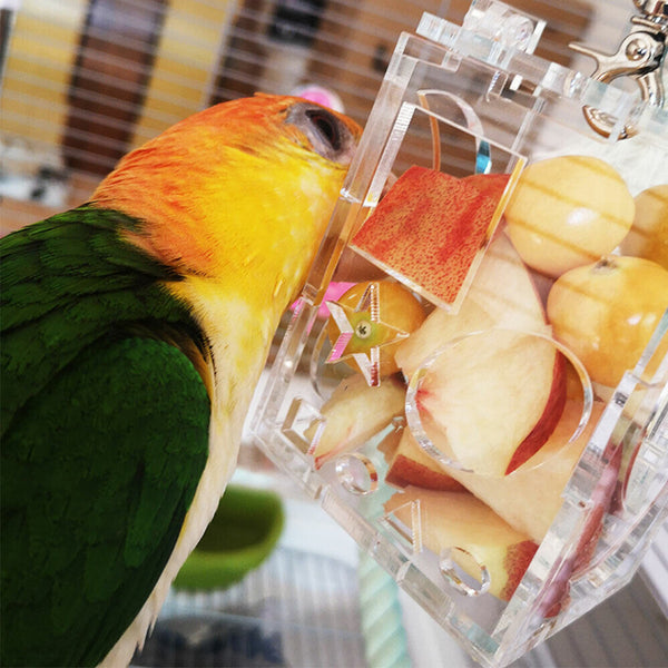 Birds Acrylic Food Fruits Accessory Foraging Feeder Cage Parrot Toys