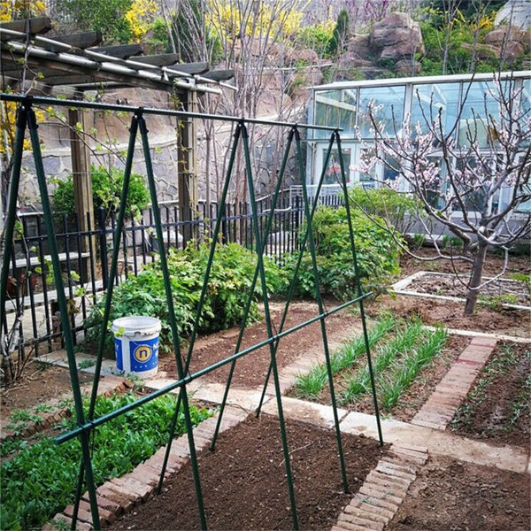 5-50PCS Garden Trellis Plant Awning Connector Joint Fixing Bracket Tomato Cage