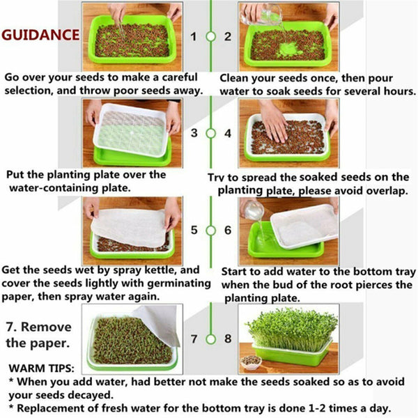 Trays seedling Starter Tray Basket Germination Plant Grow Basket Seed SprouterAU