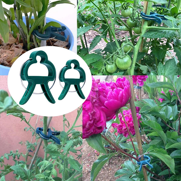 GARDEN PLANT CLIPS Tomato Tie Stem Orchid Support Weatherproof Grow Training AU