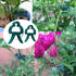 products/s-l1600_df18ddd7-228f-4712-a87e-1598b2fe9700.jpg