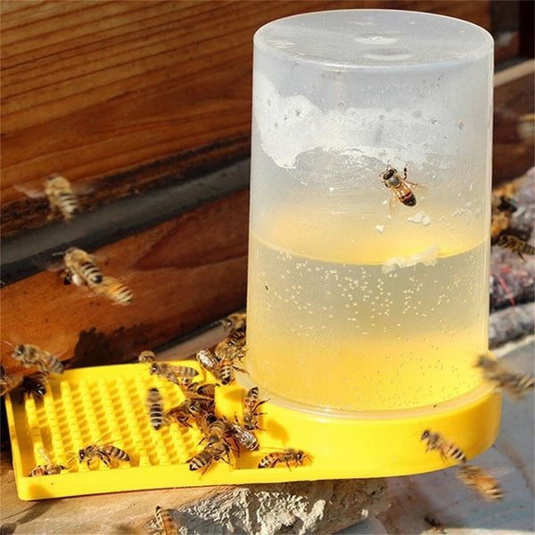 4PCS Bee Water Feeder Drinking Nest Cup Entrance Beekeeping Beekeeper Beehive AU