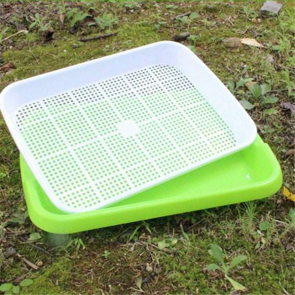 Trays seedling Starter Tray Basket Germination Plant Grow Basket Seed SprouterAU