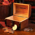 Wooden Treasure Chest Retro Money Storage Box Case Coin Piggy Bank Organizer AUS