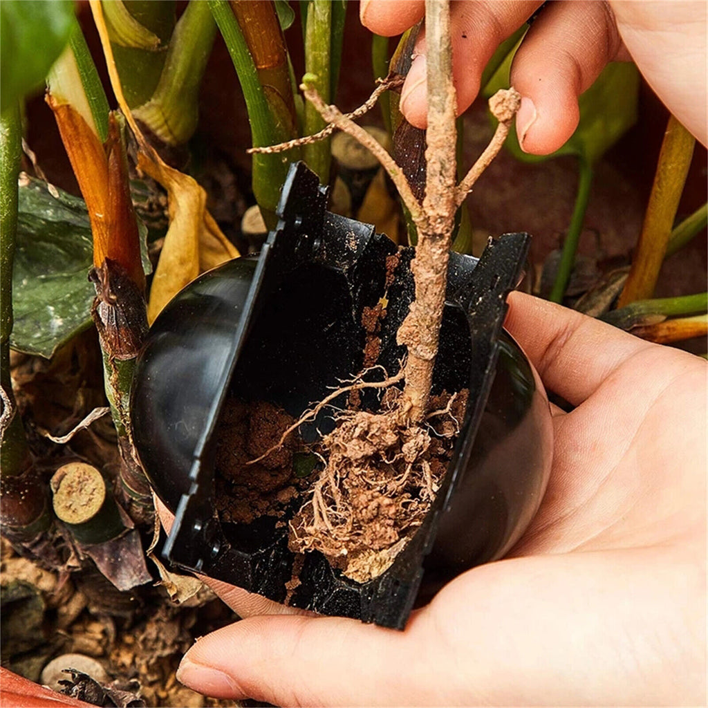 24PCS Plant Rooting Device High Pressure Propagation Ball Root Grow Gr