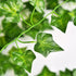 products/s-l1600_eea91b94-7da7-42cc-836f-4cd9a713dae3.jpg