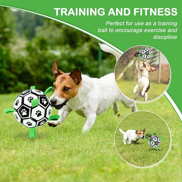 Interactive Toy w/Grab Water Tabs Tug Pet Football Dog Soccer Ball w/Pump