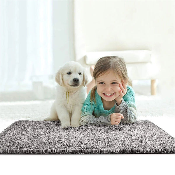 Two Super Absorbent Magic Doormat Pet Mat Step Clean Non Slip Dirt Mud Trapper - Lets Party