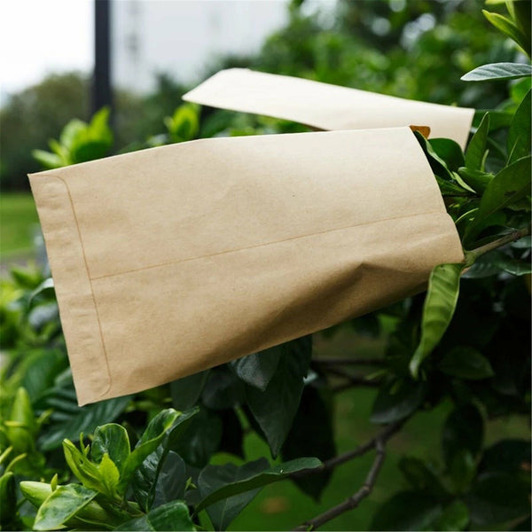 Kraft Paper Seed Packets Garden Home Storage Bags Mini Envelopes 6x11cm