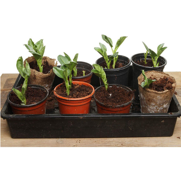 10 Pcs Garden Black Plastic Rectangle Plant Seedling Propagation Seeding Tray AU