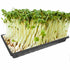 products/s-l1600_fa35dc95-6cd9-45f3-b411-6d4a7f34c045.jpg